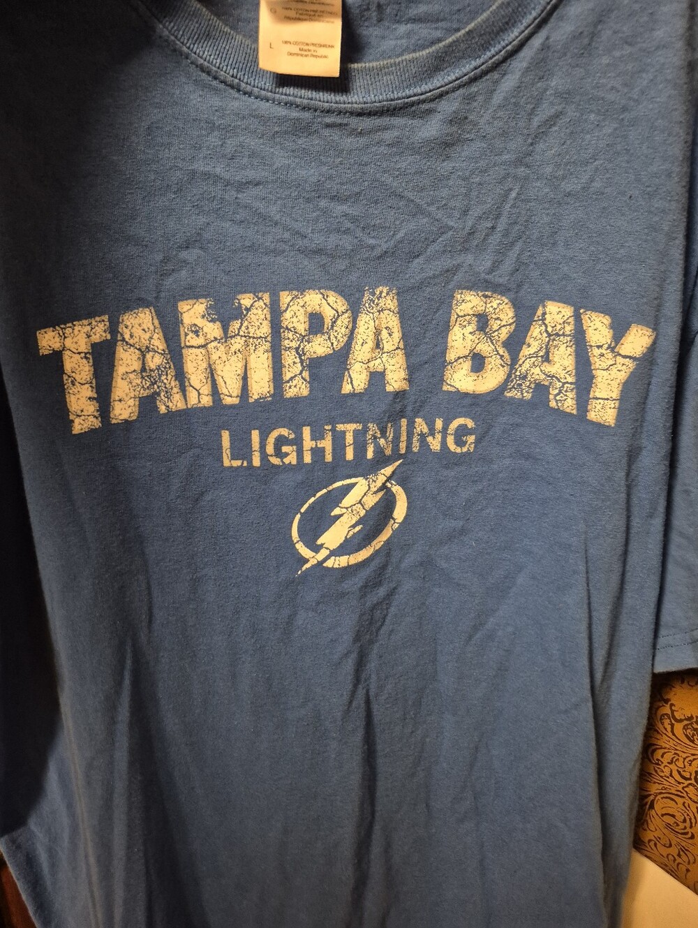 Gildan Blue Tampa Bay Lightning Graphic Tee